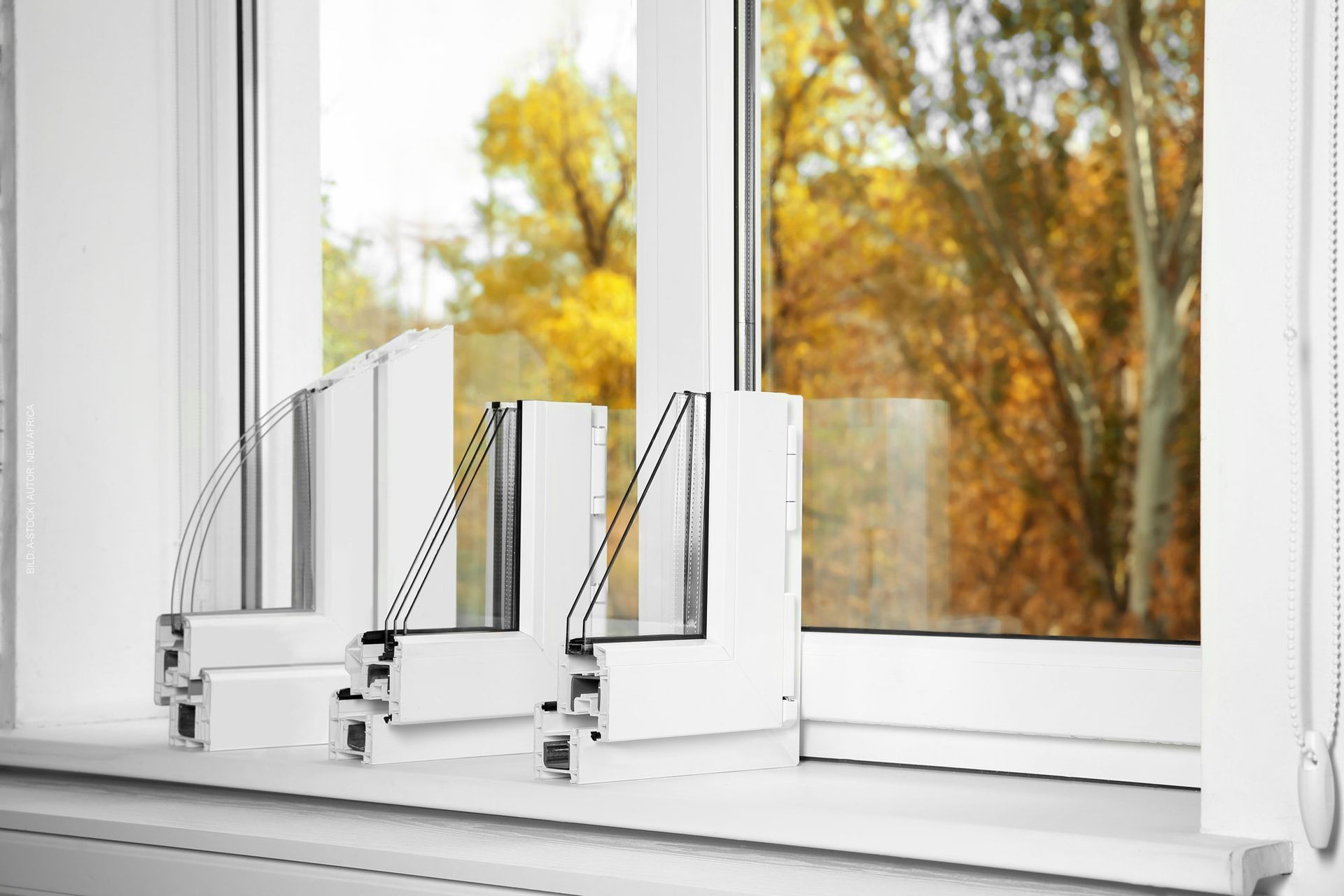 Eine Nahaufnahme eines Fensters mit Blick auf Bäume im Hintergrund. Fensterprofile von Terrassenwelten Frank Merz