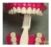 How to Brush Your Teeth