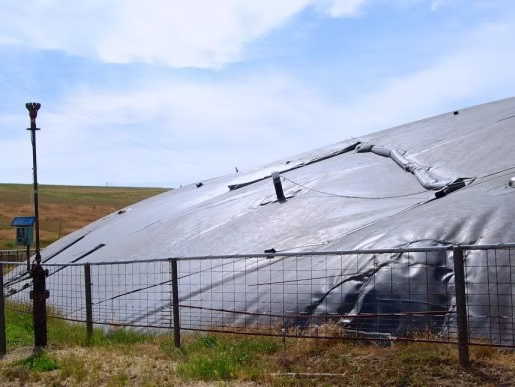 Anaerobic Digester to Renewable Natural Bio-Gas Project for Dairy Farm in Giacomini Dairy Digester Replacement Engine - Point Reyes, CA - Online Date: February 2019
End-Use: Renewable Electricity
Project Type: Retrofit (Engine)
Digester Tech: Covered Lagoon
