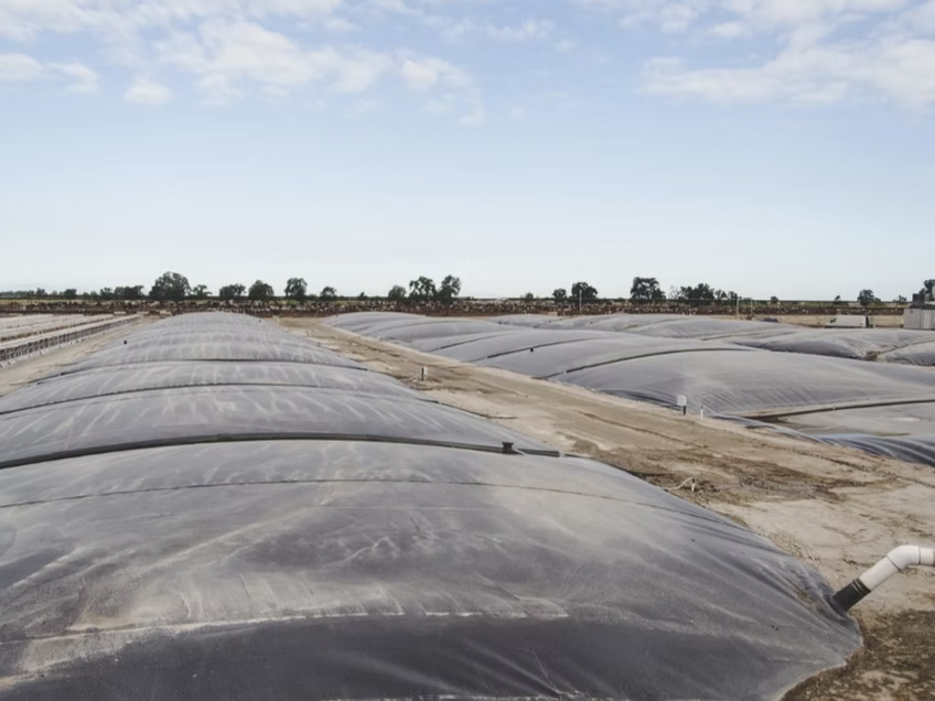 Anaerobic Digester to Renewable Natural Bio-Gas Project for Dairy Farm in Maricopa ( Previously TeVelde Tipton Dairy Digester) - Tipton, CA - Online Date: June 2017
End-Use: RNG / CNG
Project Type: New (Digester & Engine)
Digester Tech: Covered Lagoon