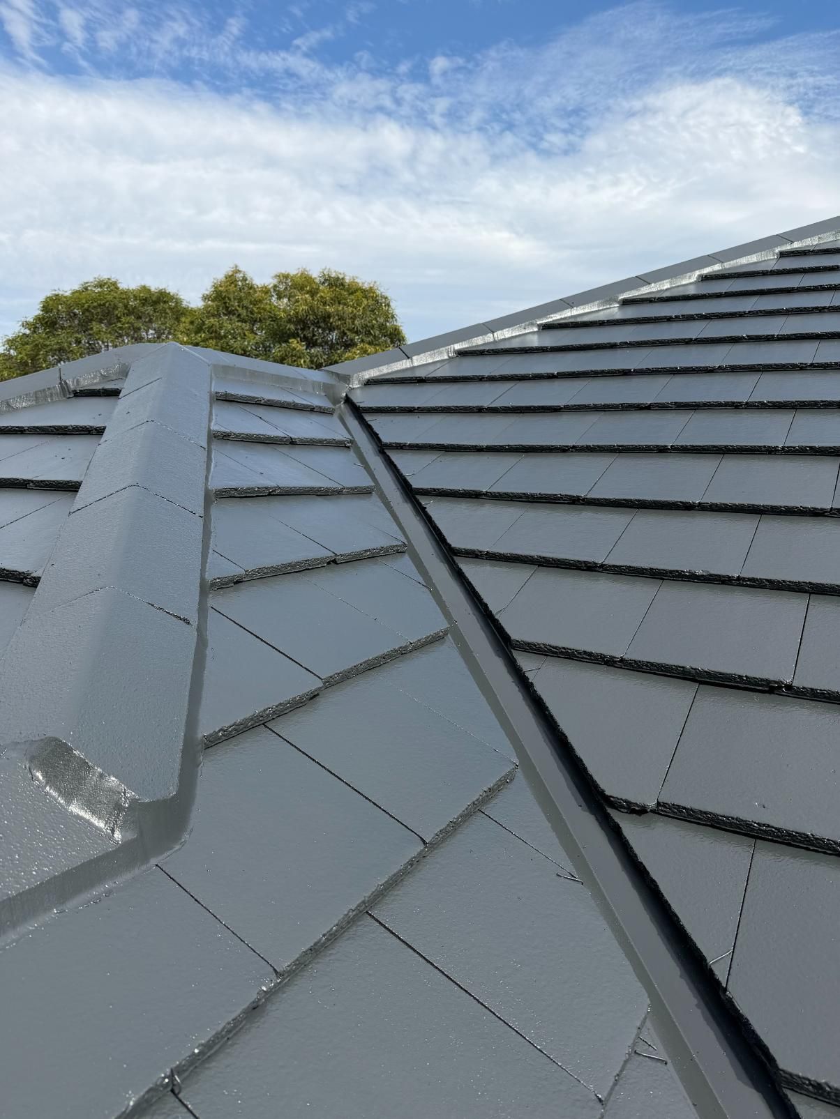 A tiled roof restoration in Quakers Hill