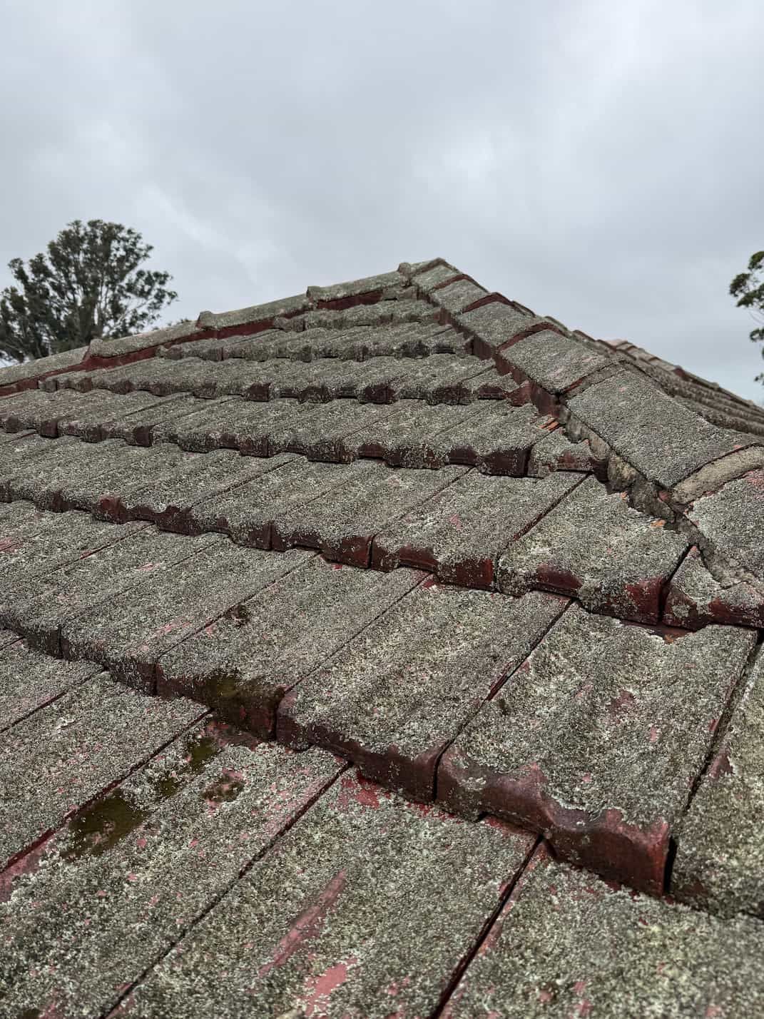 Close-up of a weathered gray tiled roof under an overcast sky