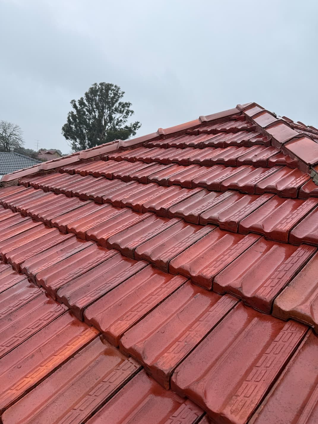 Red tiled roof with ridges under a cloudy sky, with trees in the background