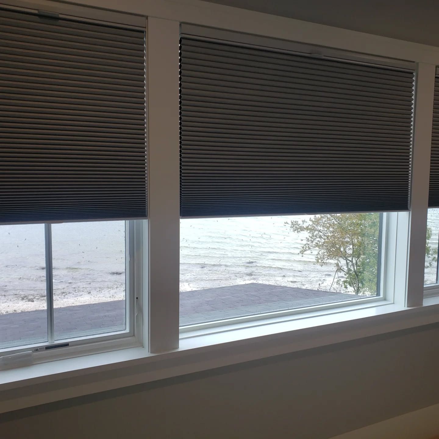 Window with dark blinds overlooking a snowy outdoor scene and a tree.