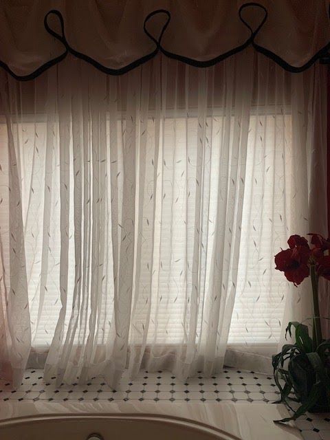 Sheer white curtains over a window with a red orchid on the right and a patterned seat below