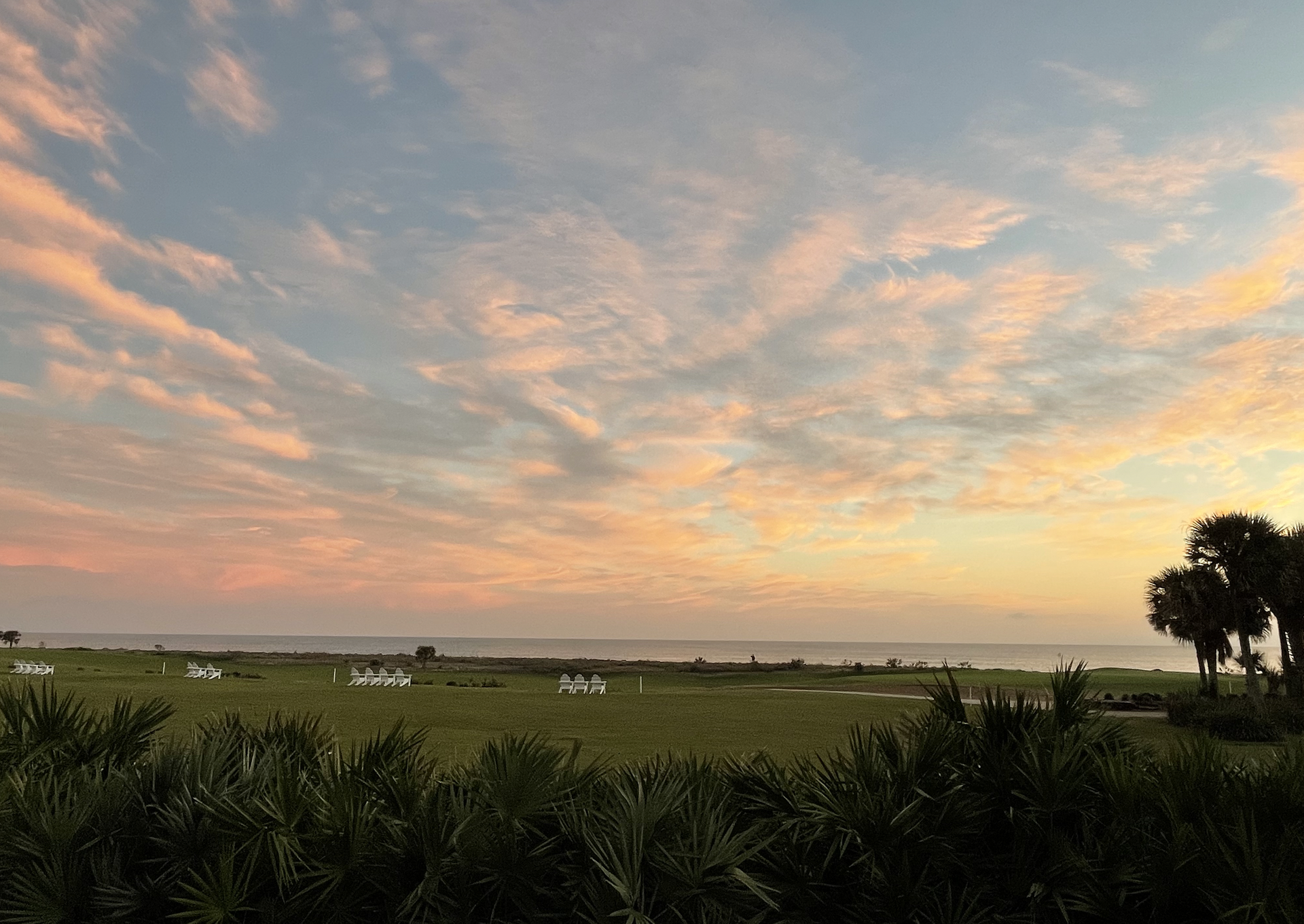 A sunset over the ocean with a field in the foreground and trees in the background.