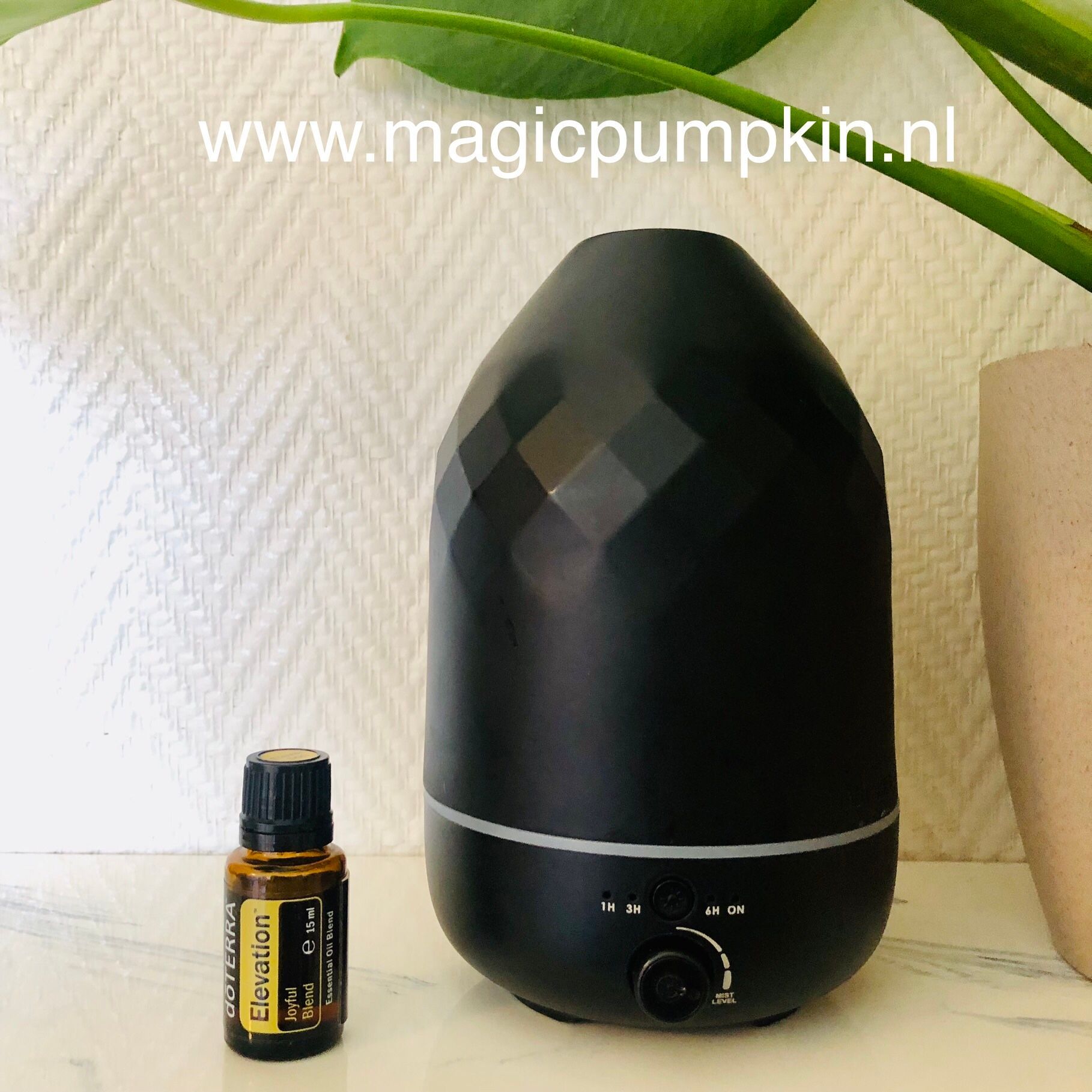 Forgive essential oil blend, aromatherapy, shadowwork, releasing guilt, shame, anger, resentment
