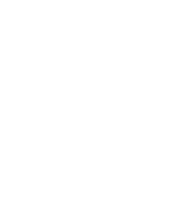 Enliven Logo Icon
