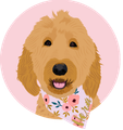 A digital illustration of a golden doodle dog wearing a pink floral bandana, set against a circular pink background.