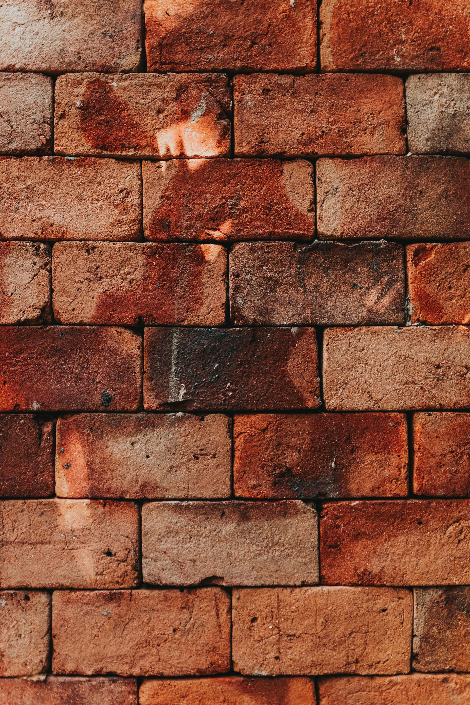 Brick wall, textured with varied red-brown bricks.