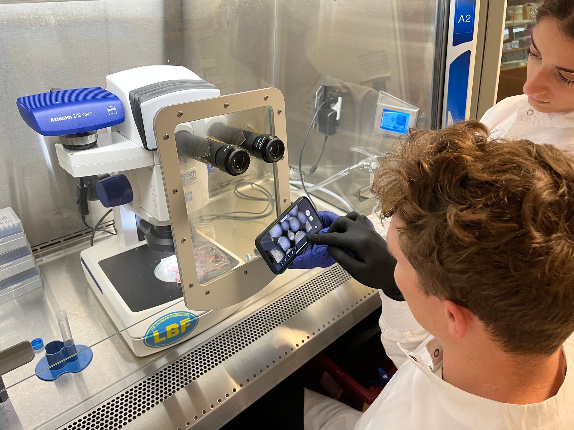 Two laboratory researchers work inside a biosafety cabinet, examining samples through a microscope w