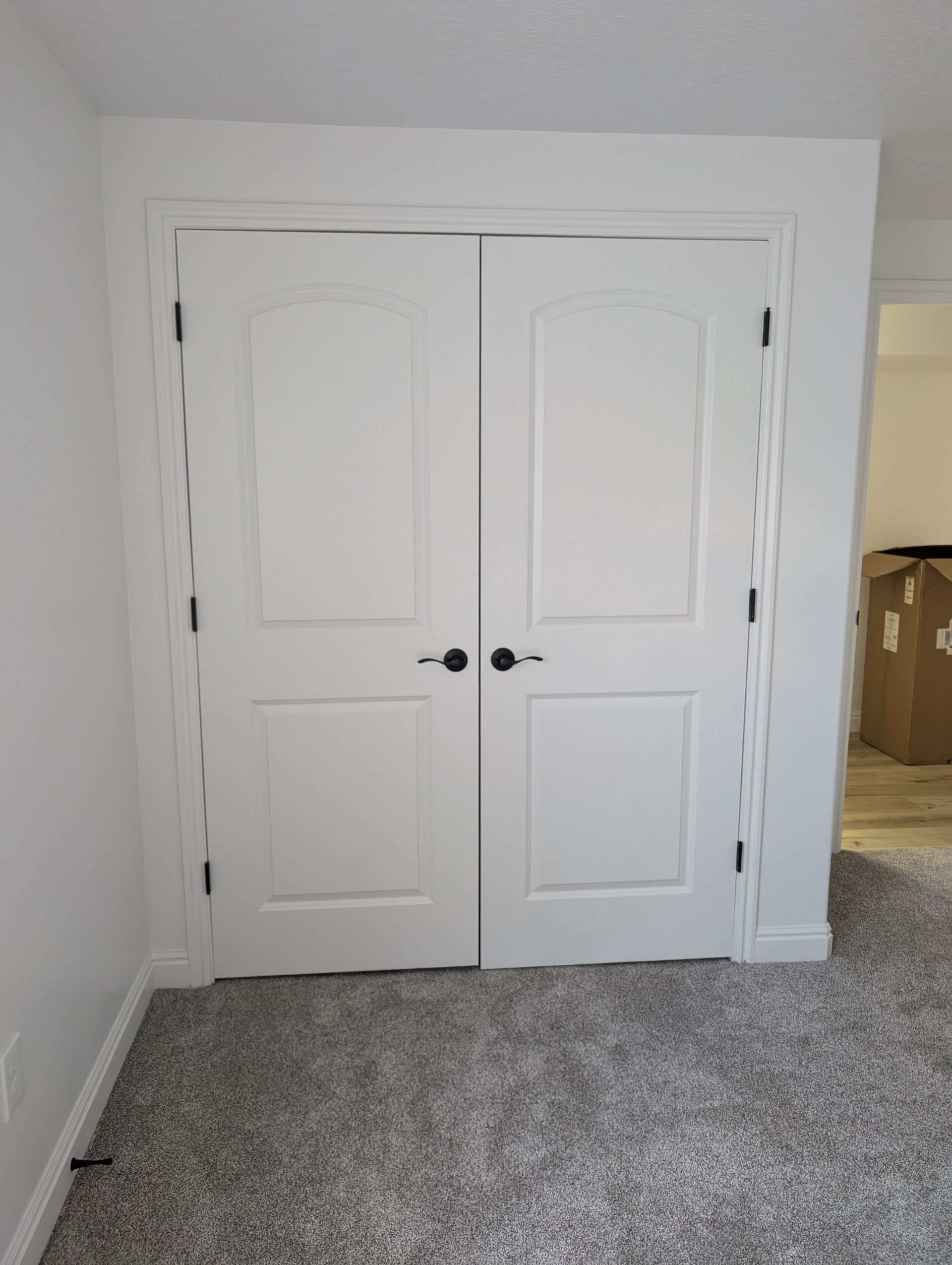 There are two white doors in a room with a carpeted floor.