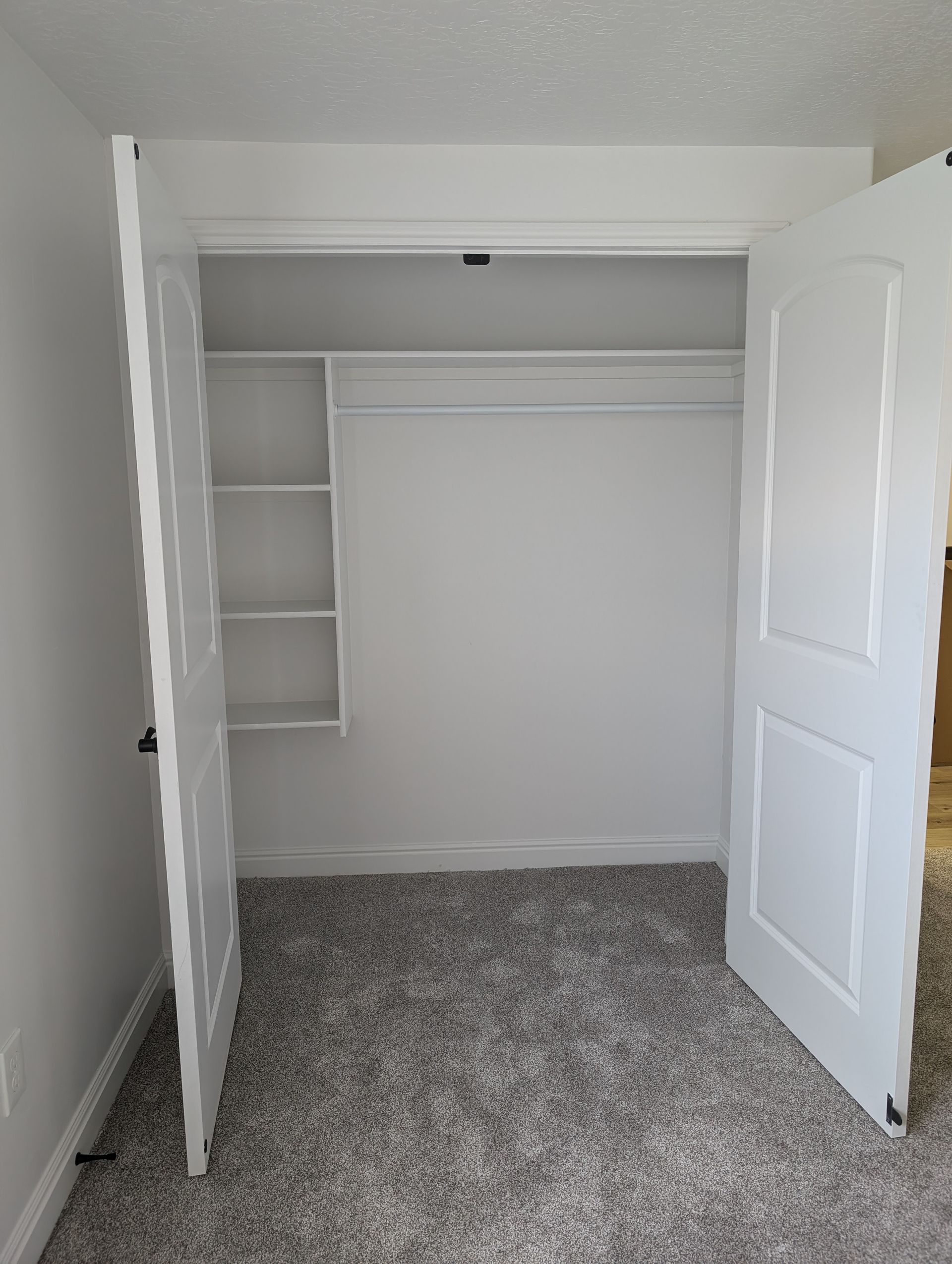 An empty closet with a carpeted floor and white doors.
