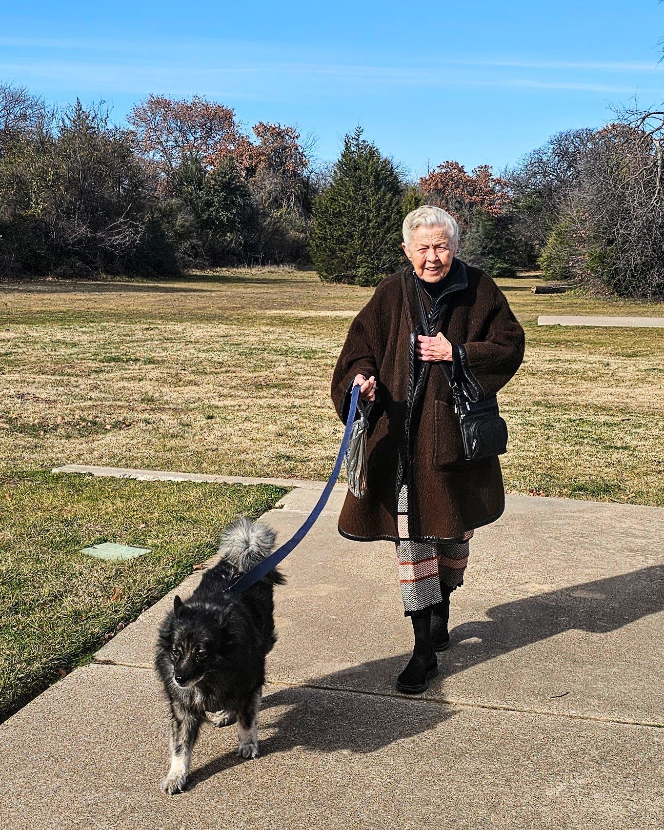 A person in a brown coat walks a medium-sized, dark-furred dog on a leash along a concrete path in a sunny, grassy park.