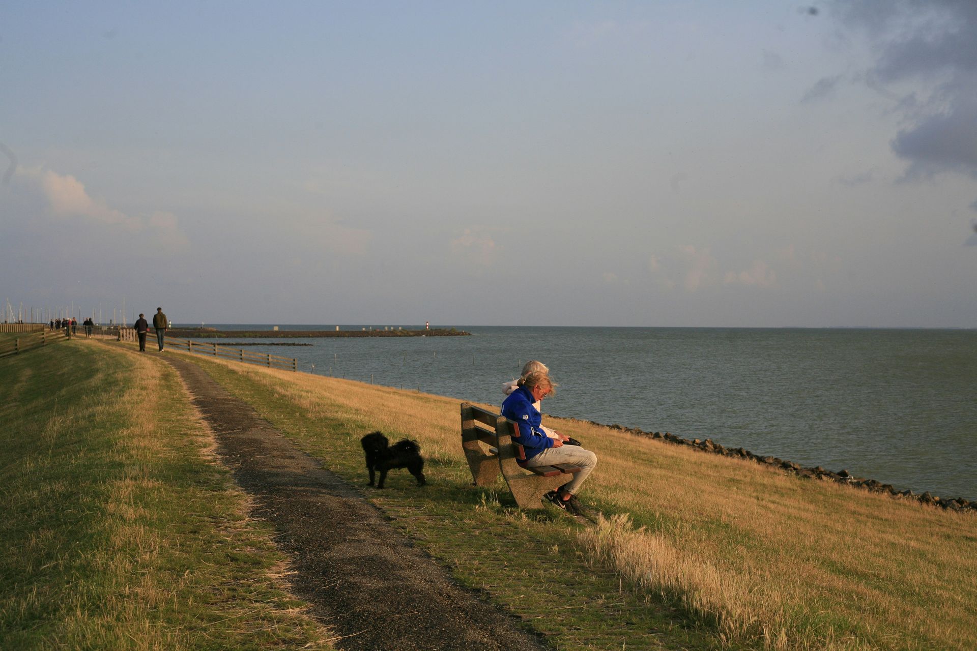 Waddengebied en polderlandschap Friesland