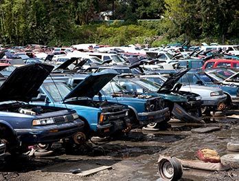 A lot of cars are sitting in a junkyard with their hoods open.