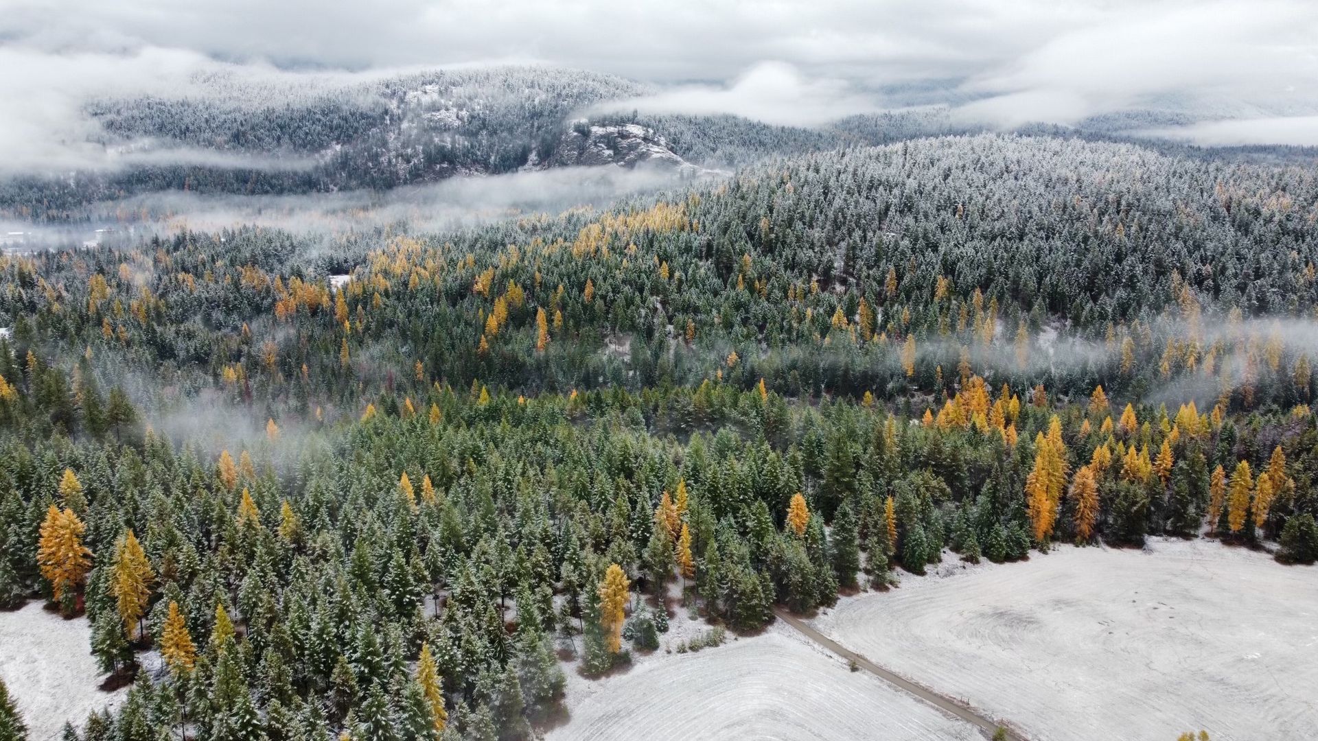 Snowy forested mountains with a cloudy sky and patches of autumn foliage in the valley