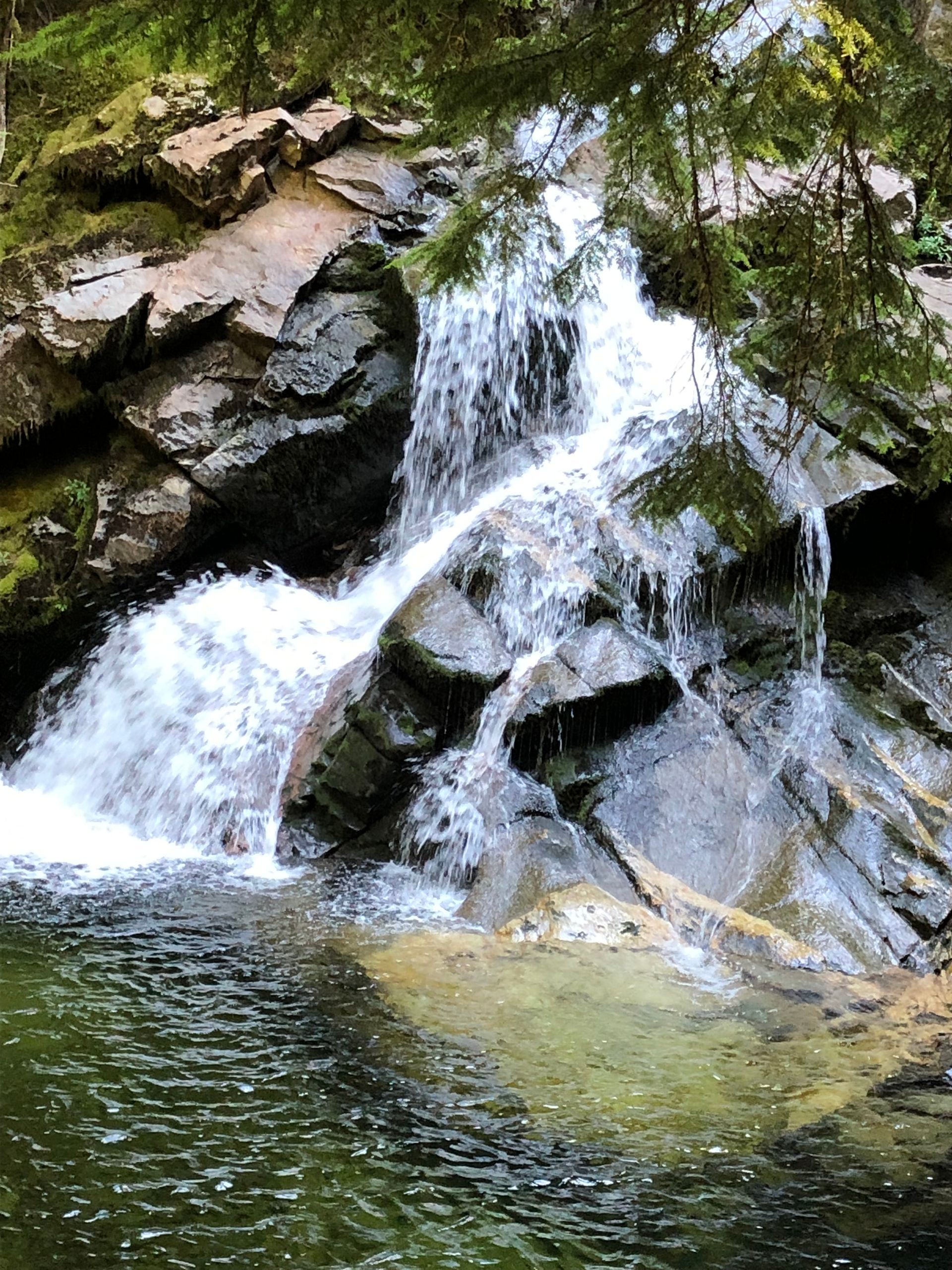 A small waterfall cascades over mossy rocks in a lush forest, with a fallen log lying across the stream.