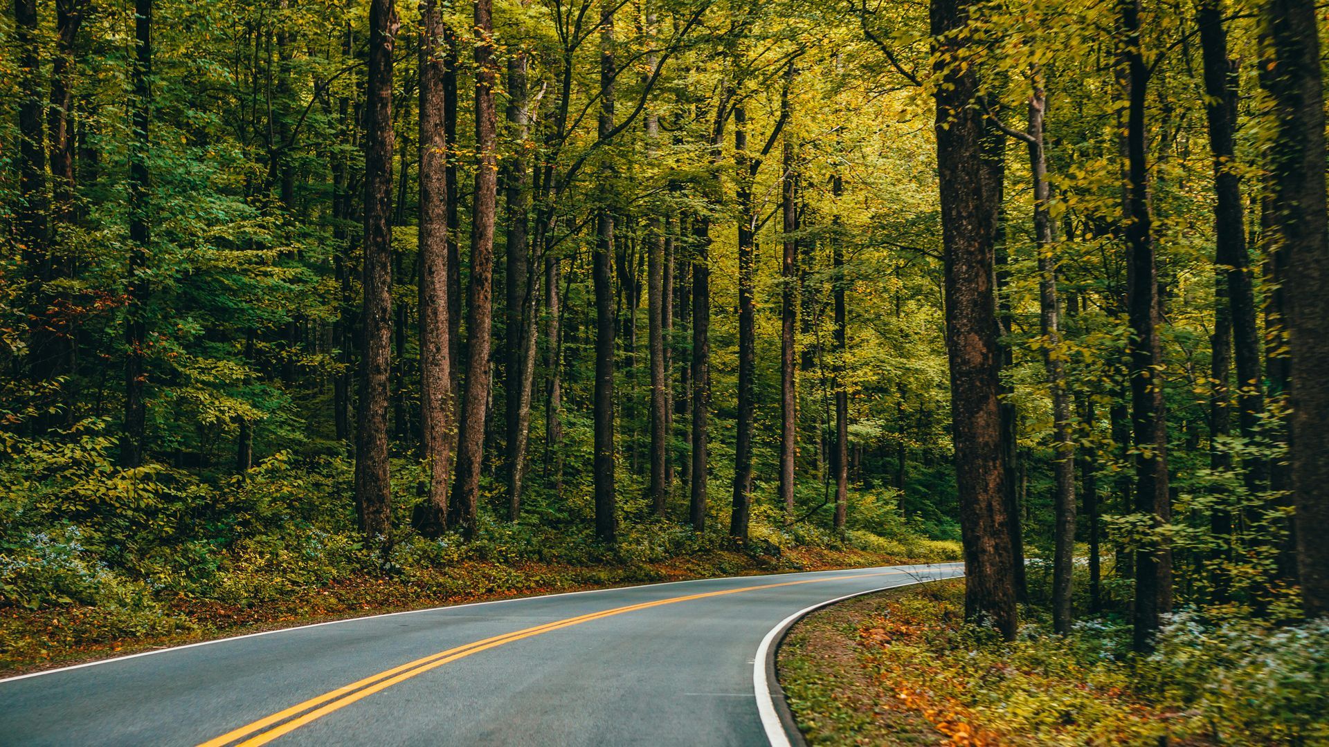Aerial view of a river separating two town sections, connected by a road bridge and a multi-arched railway bridge.