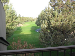 Eagle crest 7th tee