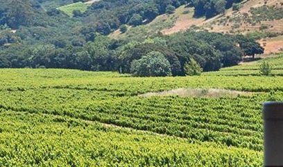 Sonoma Co. Wineries Wineries where you can picnic in Sonoma County.