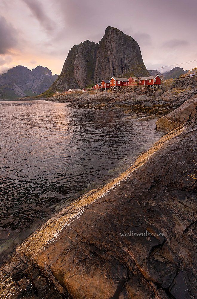 Red house in the lofoten Norway