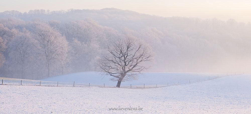 Vlaamse Ardennen