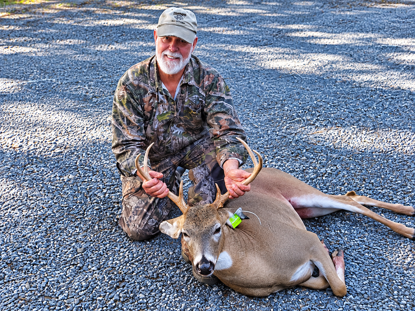 cushion peak deer hunted on property