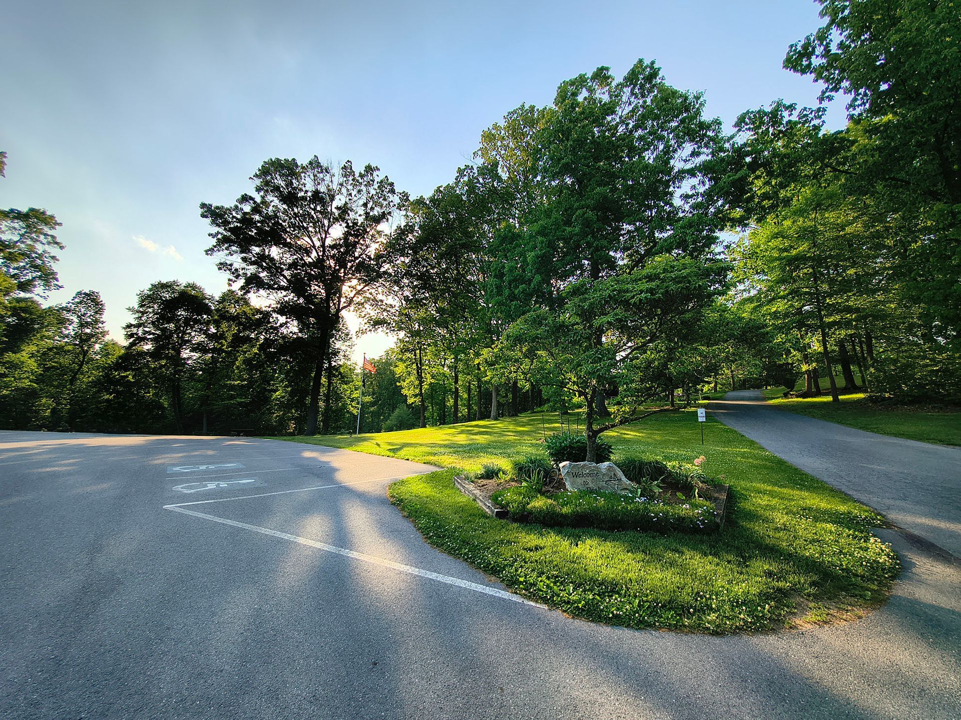 Sunlit paved road curving through a green park with trees and a grassy island