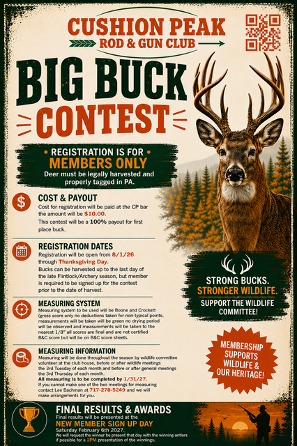 Big Buck Contest poster with a deer, orange and green text, and prize details on a white background