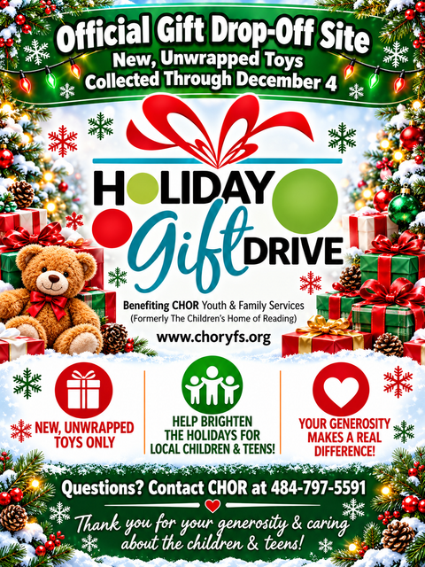 cushion peak toy drop off flyer
