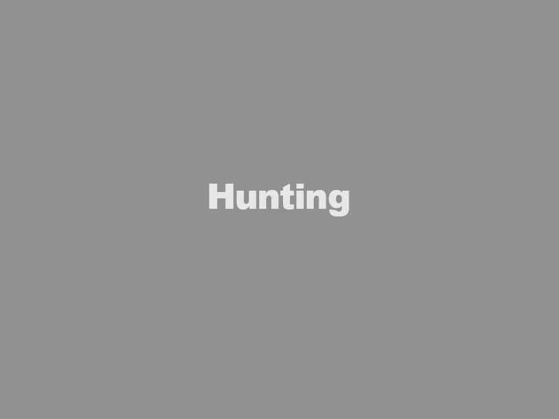 White “Hunting” text centered on a plain gray background.