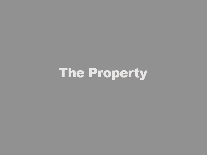 Gray title slide reading “The Property” in white text.