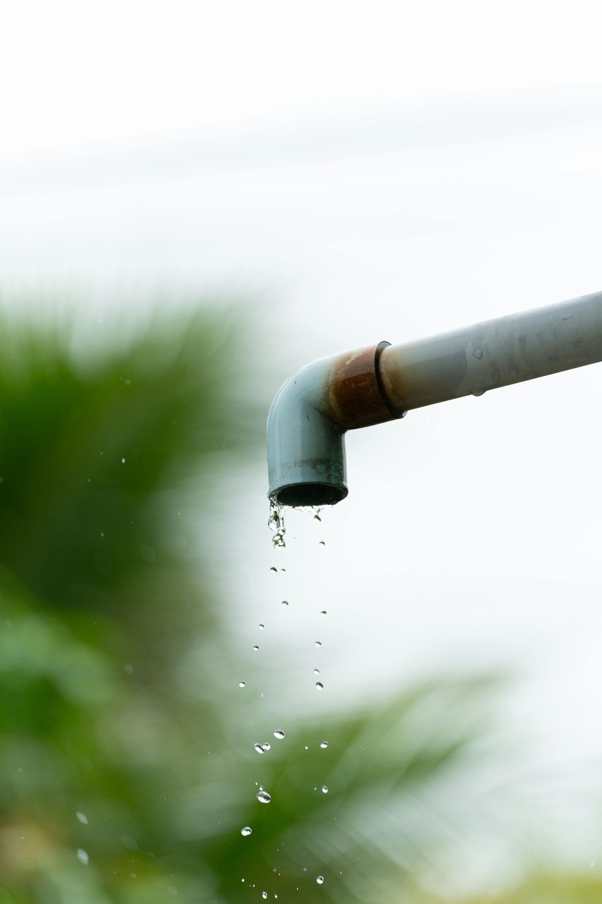 Water drips from a light gray L-shaped PVC pipe against a soft-focus green background — Leak & Co in Zuccoli, NT