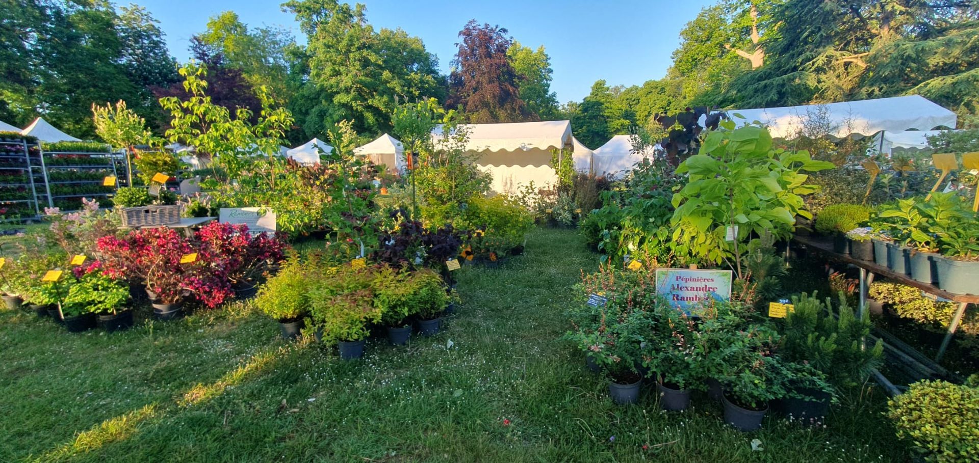 Centre de jardinage luxuriant avec des fleurs colorées, des plantes vertes et des arbres sous un soleil éclatant