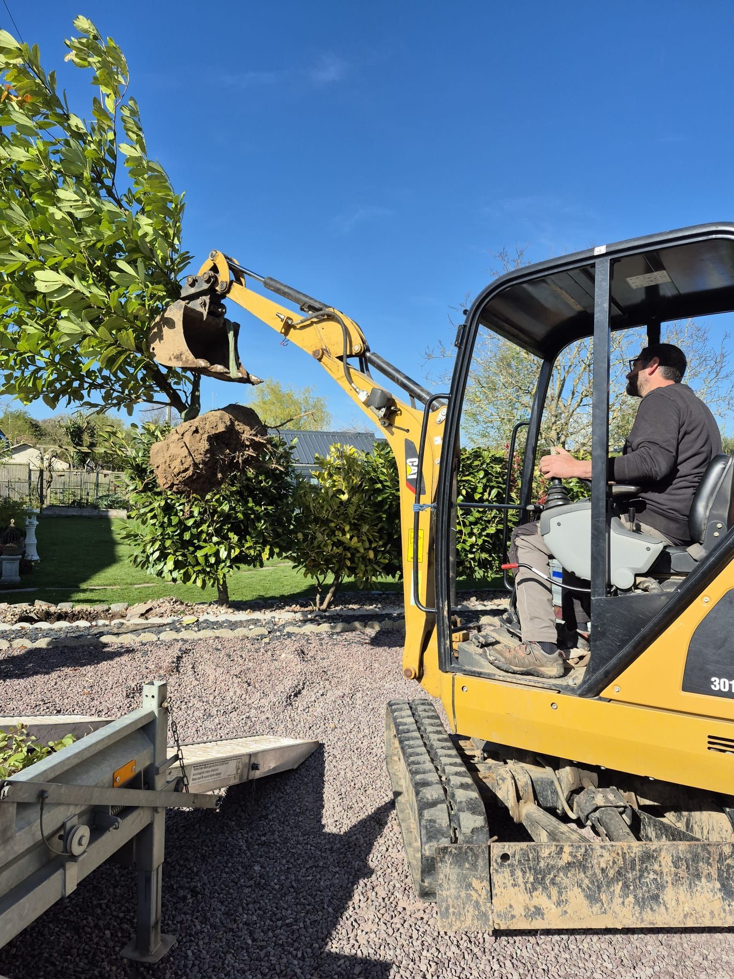 Une mini-pelle jaune taille une branche d'arbre dans une cour gravillonnée par une journée ensoleillée