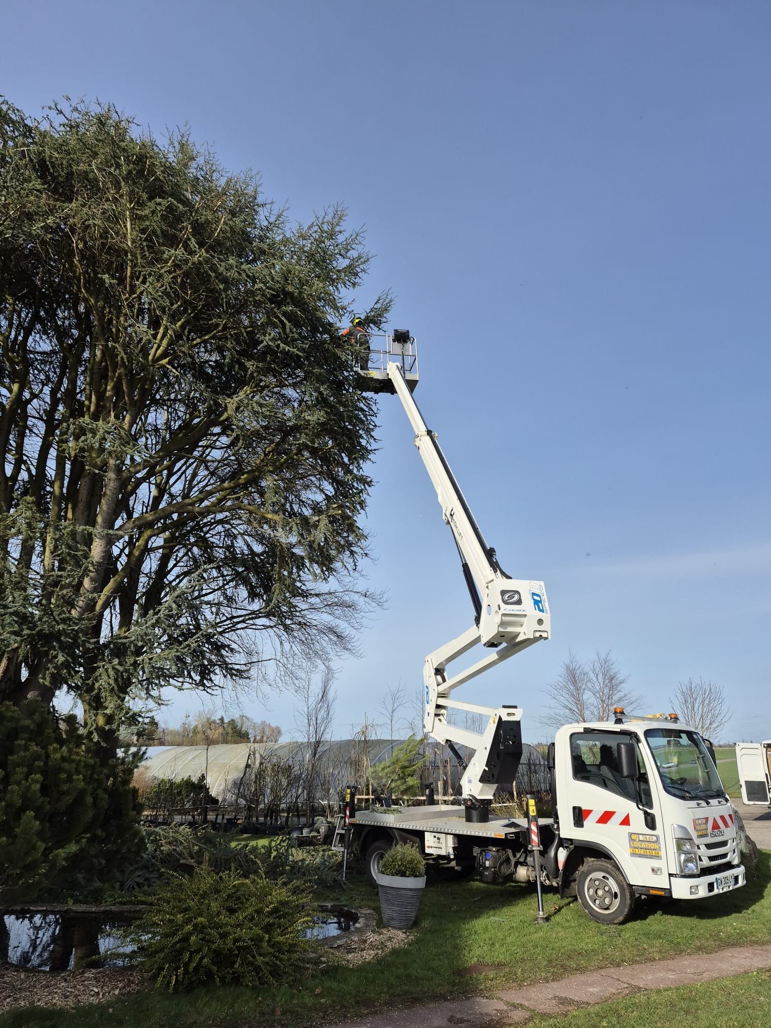 Un ouvrier, aux commandes d'une nacelle blanche, élague un grand arbre au bord d'un canal par une journée ensoleillée.