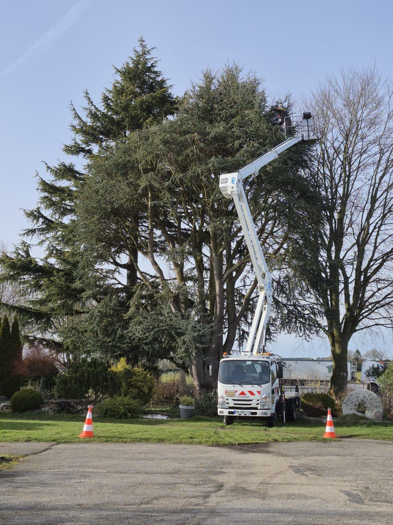 Un camion utilitaire blanc à flèche télescopique élague de grands arbres en bordure de route, des cônes de signalisation se trouvant à proximité.