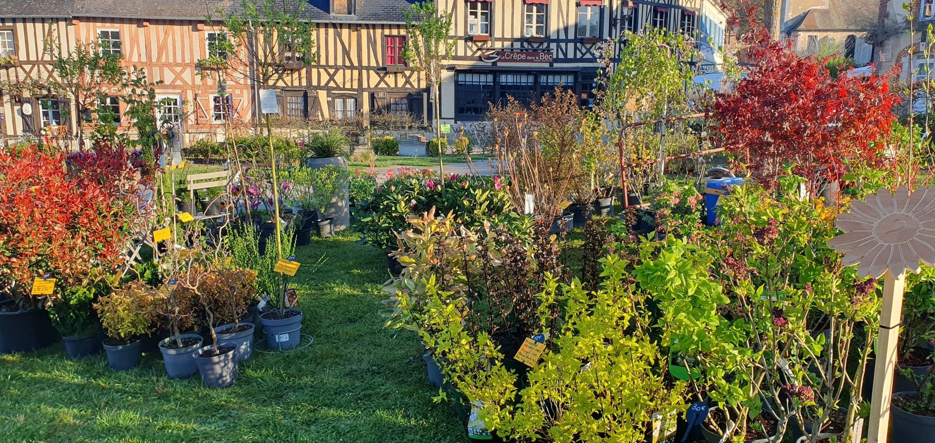 Centre de jardinage rempli de plantes et d'arbustes colorés en pot, devant une clôture en bois.