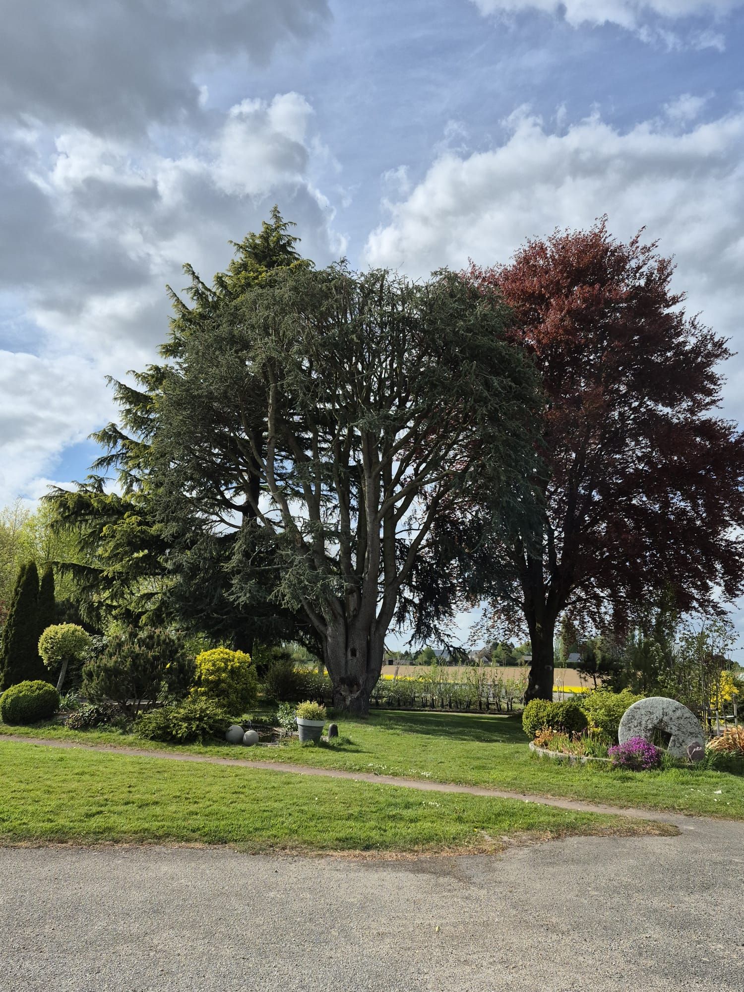 Jardin avec de grands arbres, pelouse verte et ciel nuageux au-dessus d'un chemin de gravier