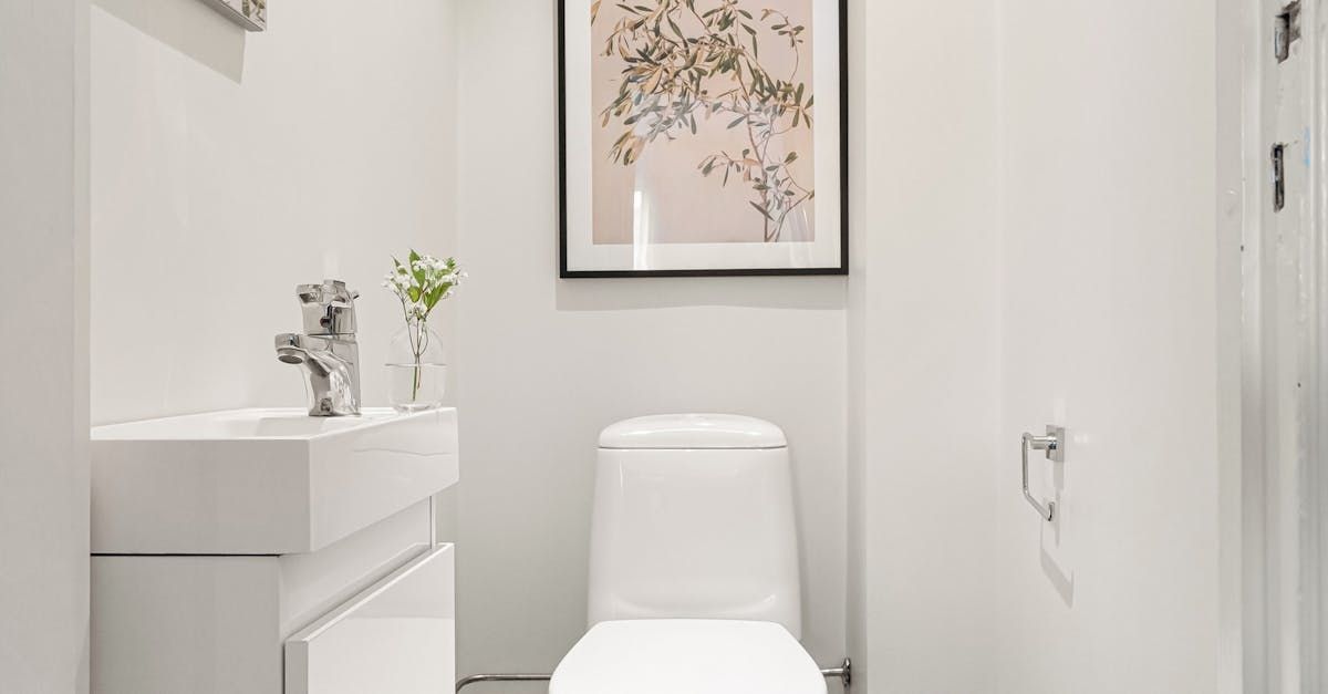 A bathroom with a toilet , sink , and picture on the wall.