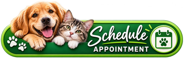 Request appointment button with calendar showing date 30.