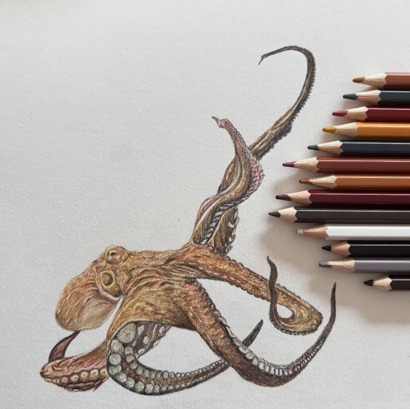 tekeningen van wilde dieren