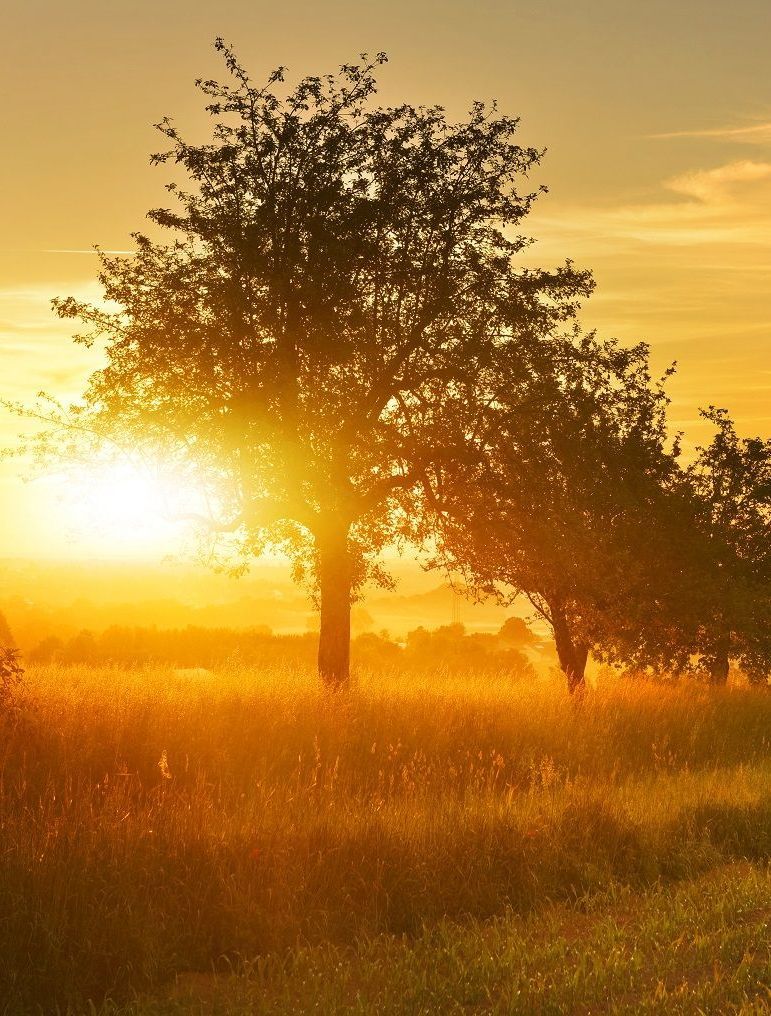 Local Obituaries posted on Pace-Stancil Funeral Home & Crematory's website for Texas