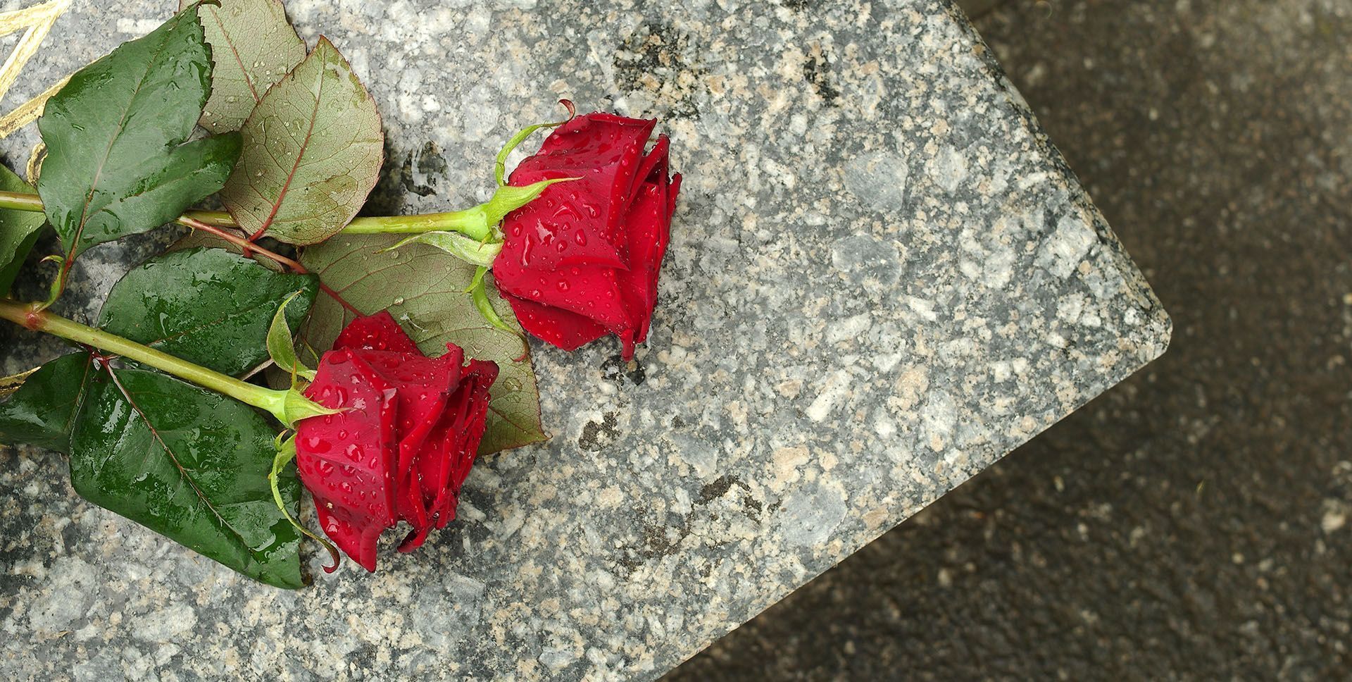 Cremation Services