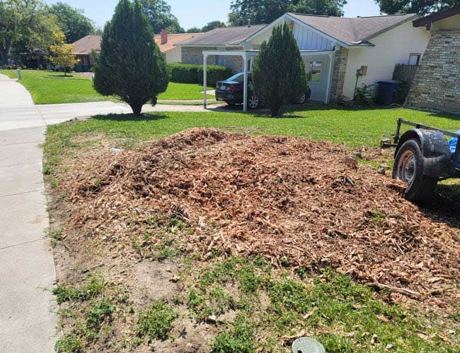 Stump removal — San Antonio, TX — Robert's Tree Care