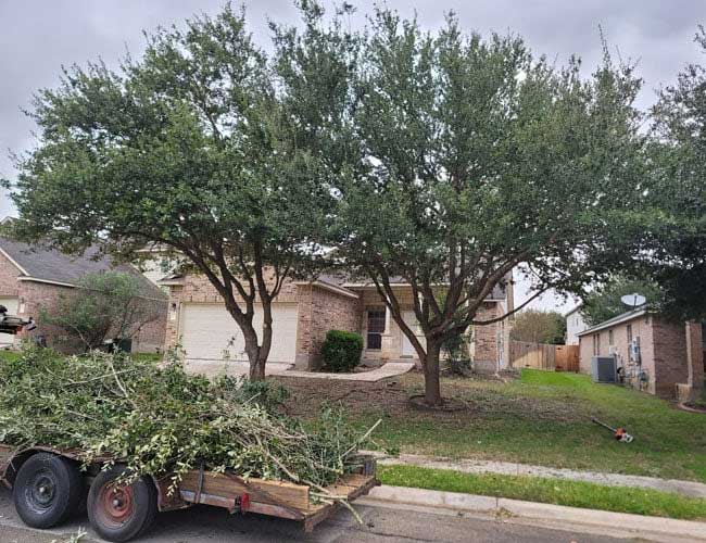 Lot clearing — San Antonio, TX — Robert's Tree Care