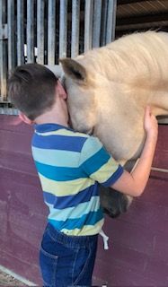 A young boy is hugging a horse in a stable.
