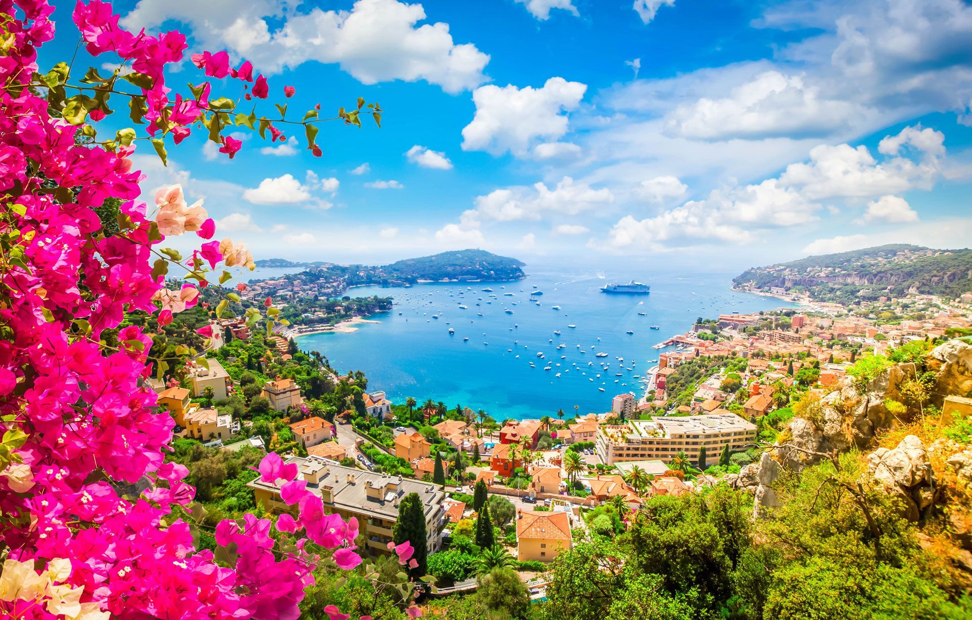 Colorful seaside town and bay viewed from a hillside, with bright pink flowers in the foreground