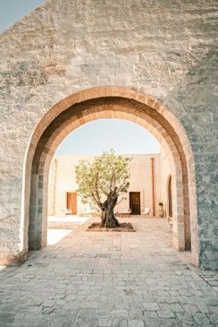 Stone archway framing a mature carob tree at Masseria Torleanzi in Puglia Stone archway framing a mature carob tree at Masseria Torleanzi in Puglia